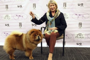 Martha Stewart sits her with her dog GK , a Chow Chow breed, before competing in the Best of Group category at the 136th Westminster Kennel Club Dog Show in New York's Madison Square Garden