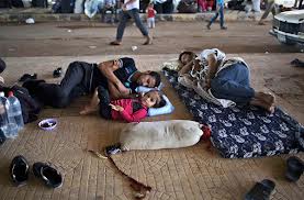 refugiados sirios