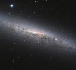The NASA/ESA Hubble Space Telescope image portrays a beautiful view of the galaxy NGC 7090