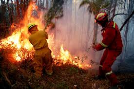 incendio bosques