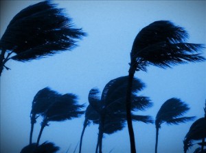 C_Tropical_Storm