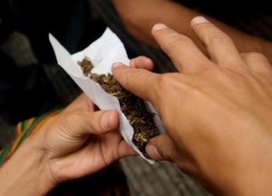 La mayor&iacute;a de los argentinos, chilenos y mexicanos de entre 18 y 34 a&ntilde;os estar&iacute;an de acuerdo con que en sus pa&iacute;ses se legalizara el consumo de marihuana, seg&uacute;n un estudio presentado.