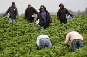 Los mexicanos que viven en Estados Unidos tienen los niveles m&aacute;s bajos de escolaridad y de ingresos respecto a inmigrantes de otras nacionalidades, seg&uacute;n un estudio del banco espa&ntilde;ol BBVA difundido hoy en M&eacute;xico.