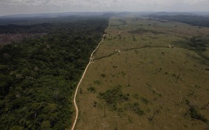 amazonas02