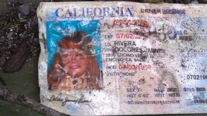 jenni_rivera_licencia