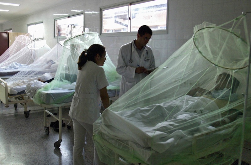 Dengue_Paraguay_Epidemia La nueva epidemia de dengue obligó a las autoridades sanitarias a decretar la alerta epidemiológica nacional el 8 de enero pasado.