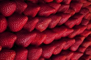 Fresas
