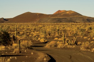 Imagen cedida por la Comisi&oacute;n Nacional de &aacute;reas Naturales Protegidas,  de la Reserva de la Biosfera El Pinacate y Gran Desierto de Altar.