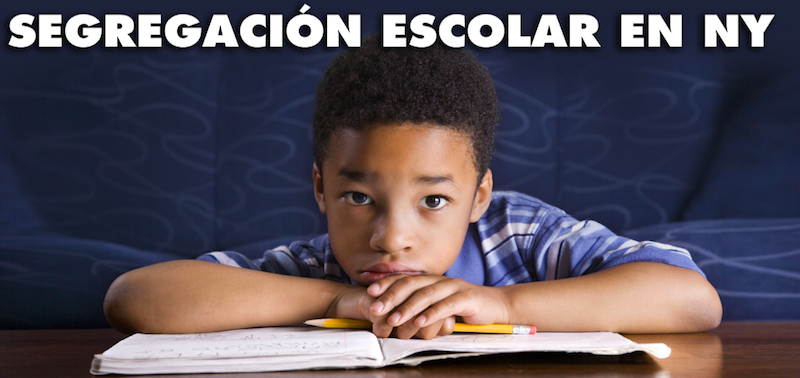 “Los estudiantes de escuelas públicas en el estado están cada vez más aislados por la raza y la clase social, en proporción al crecimiento de la pobreza en estudiantes de minorías”.