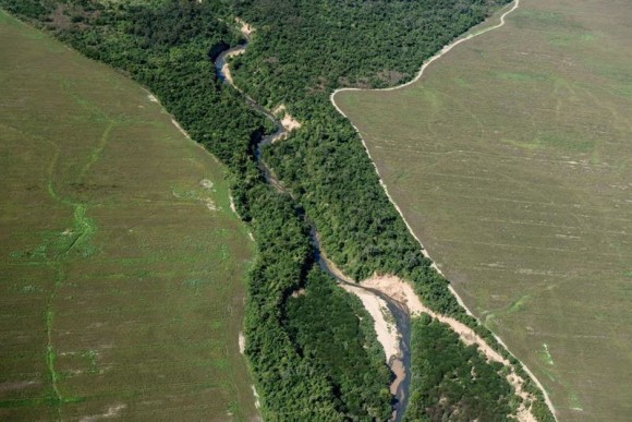 Ambientalistas de Argentina han lanzado un alerta sobre el avance de la desforestaci&oacute;n, en particular en la norte&ntilde;a provincia de Salta, cuyas autoridades, sin embargo, aseguran que castigan la tala ilegal y que los desmontes que autorizan se ajustan a las normas. 