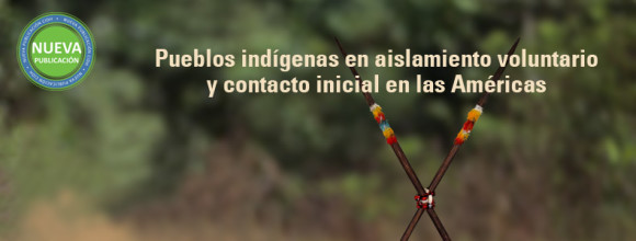 carrusel-informe-indigenas-2013