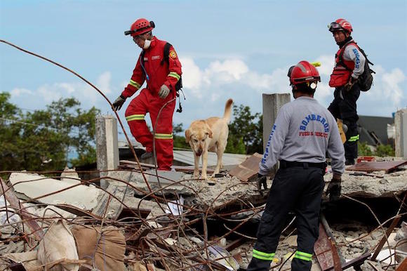 Rescatistas con perros amaestrados buscan sobrevivientes en el sector de Pedernales (Ecuador) hoy, lunes 18 de abril de 2016, en la zona afectada por el terremoto de 7,8 grados en la escala de Richter registrado el s&aacute;bado en la costa norte de Ecuador.