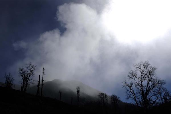 Fotograf&iacute;a del 3 de febrero de 2017 del volc&aacute;n Turrialba (Costa Rica). Tras poco m&aacute;s de dos a&ntilde;os de actividad constante, los verdes paisajes que rodeaban las faldas del volc&aacute;n Turrialba en Costa Rica han dado paso a una desolaci&oacute;n te&ntilde;ida del gris de la ceniza, donde antes exist&iacute;an bosques solo quedan los &aacute;rboles muertos y el abandono de las pocas casas que por all&iacute; se hallaban. 
