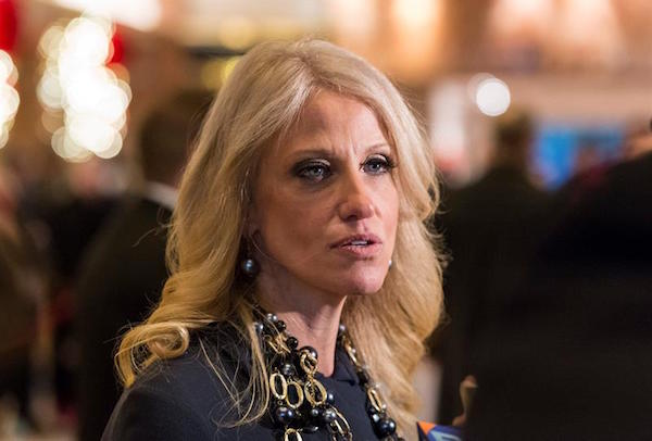 Kellyanne Conway, la asesora del presidente Donald Trump, asegur&oacute; hoy que el conservadurismo en el pa&iacute;s se hab&iacute;a vuelto "escler&oacute;tico y polvoriento" hasta la llegada del nuevo mandatario, "que sacudi&oacute; el sistema". 
