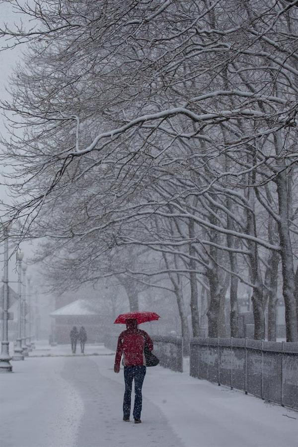 Una mujer camina bajo la nieve. Nueva York ha sufrido un descenso brusco de las temperaturas para recibir hoy un gran temporal de nieve.