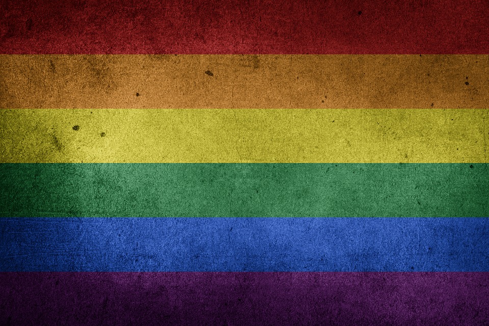 Lanzan campaña en Chile para defender las familias con madres lesbianas