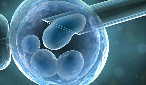 Mujeres con seguro médico tienen más chances de lograr embarazos in vitro
