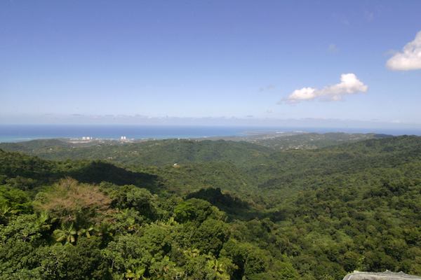 Imagen que muestra un vista general del bosque tropical El Yunque en Puerto Rico, el ˙nico lluvioso de todo el territorio de Estados Unidos, que es visitado anualmente miles de personas amantes de la naturaleza.