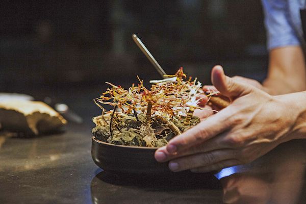 Uno de los platos que prepara el cocinero peruano Virgilio Martinez , en su restaurante Central de la ciudad de Lima ( Per˙) 