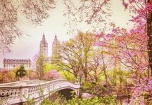 Parques de Nueva York