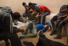 Los centroamericanos representan más de la mitad de los casos pendientes por resolver en las cortes de inmigración del país y esa demora de años