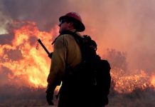 Bomberos no controlan el fuego en California que ha arrasado 12.000 hectáreas Un bombero trabaja en una vía junto a un incendio forestal hoy, martes 16 de agosto de 2016, al norte de Los Ángeles