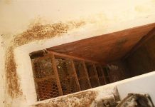 LA RECAPTURA Fotogramas extraídos del video tomado por militares de la Marina Armada de México durante las acciones del operativo realizado en la casa donde se escondia el narcotraficante Joaquín "el Chapo" Guzmán en Los Mochis, México. La grabación de la llamada "Operación cisne negro", obtenida a través de las cámaras colocadas en el casco de los marinos, muestra cómo los militares irrumpieron en la casa echando la puerta abajo.