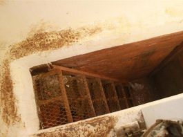 LA RECAPTURA Fotogramas extraídos del video tomado por militares de la Marina Armada de México durante las acciones del operativo realizado en la casa donde se escondia el narcotraficante Joaquín "el Chapo" Guzmán en Los Mochis, México. La grabación de la llamada "Operación cisne negro", obtenida a través de las cámaras colocadas en el casco de los marinos, muestra cómo los militares irrumpieron en la casa echando la puerta abajo.