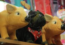 Los Paisanos ofrecen sabores de Puebla en Jackson Heights Alcancías en forma de cerditos y perritos, que como explica, son típicas en las ferias populares, son elaboradas en Puebla y son parte de las innumerables artesanías populares.