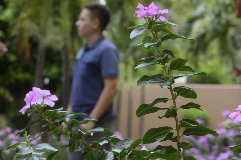 Horacio (nombre falso) abandon&oacute; El Salvador con su familia al completo en 2016 y alcanz&oacute; Estados Unidos, pero fue deportado. Ha vuelto solo a su pa&iacute;s mientras su familia espera una decisi&oacute;n judicial respecto a su estatuto de refugiado. 