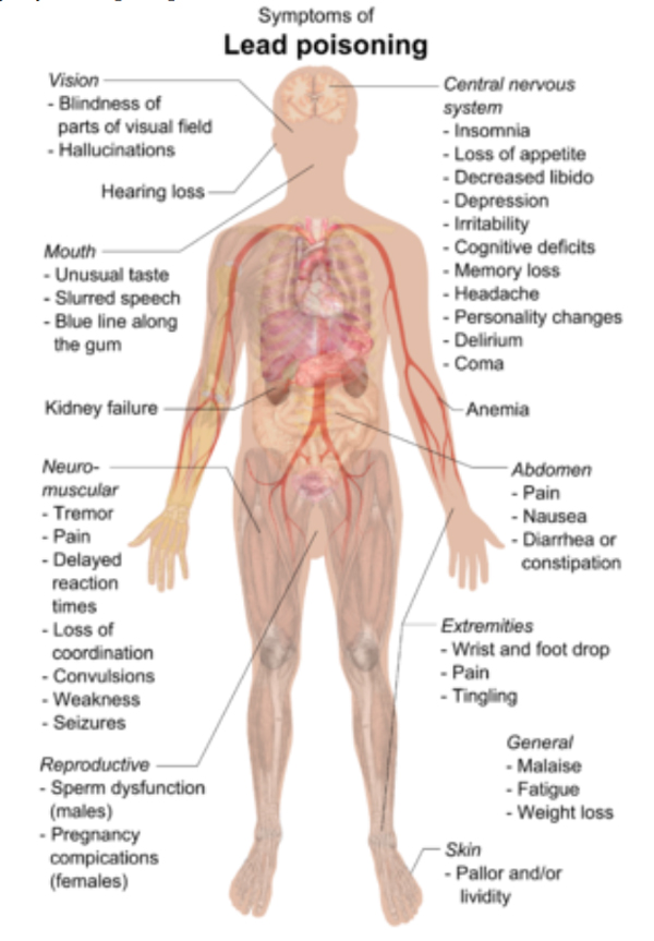 Los primeros síntomas de envenenamiento por plomo en adultos son comúnmente inespecíficos e incluyen depresión, pérdida de apetito, dolor abdominal intermitente, náuseas, diarrea, estreñimiento y dolor muscular. Otros signos tempranos en adultos incluyen malestar, fatiga, disminución de la libido y problemas con el sueño. Un sabor inusual en la boca y cambios en la personalidad son también signos tempranos.
