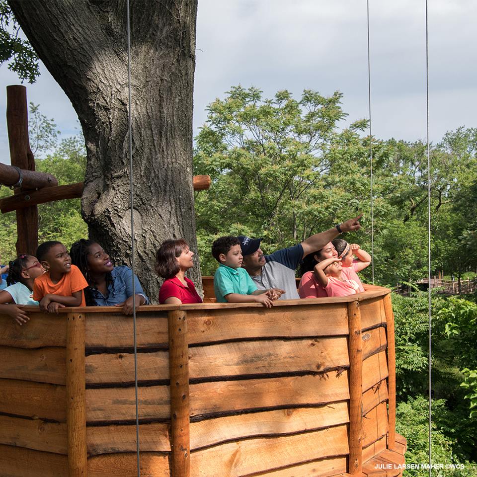 Nature Trek Zool&oacute;gico del Bronx