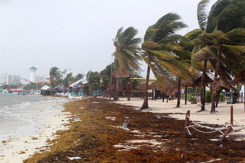 La séptima tormenta tropical del año en el Atlántico presenta vientos máximos sostenidos de 70 millas y se encuentra a unas 155 millas al norte-noreste de Coatzacoalcos y a unas 315 millas al este-noreste de Veracruz.