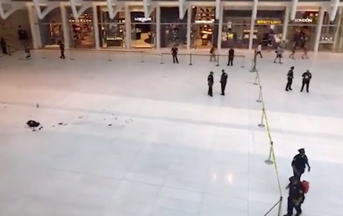 Un hombre resultó herido de gravedad tras precipitarse hoy desde un balcón situado a unos 9 metros de altura en la estación del Word Trade Center de Nueva York,