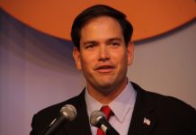 Organización de Tea Party apoya a Marco Rubio como candidato vicepresidencial