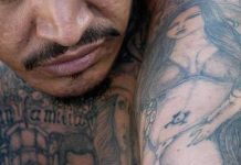 Trump jura que destruirá a la Mara Salvatrucha Mara Salvatrucha, un grupo criminal internacional compuesto principalmente por ciudadanos de Centroamérica que se originó en Los Ángeles en los años 80.