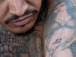 Mara Salvatrucha, un grupo criminal internacional compuesto principalmente por ciudadanos de Centroamérica que se originó en Los Ángeles en los años 80.
