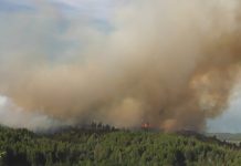 Un incendio forestal avanza hoy fuera de control en la provincia sureña argentina de Chubut y cerca del mediodía las llamas habían arrasado ya más de 100 hectáreas de bosque nativo e implantado, informaron los bomberos locales.