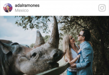 Adal Ramones y Karla de la Mora en Áfricam Safari. (foto Instagram)