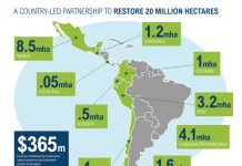 Países latinoamericanos prometen restaurar más de 20 millones de hectáreas de tierra