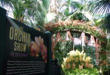 Unas cinco mil orquídeas homenajean a Broadway en Nueva York