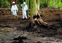 Justicia argentina confirma embargo contra Chevron por demanda ecuatoriana