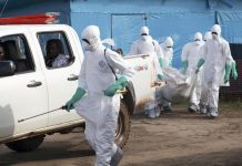 EEUU emite alerta máxima sobe viajes a África Occidental ante brote de ébola