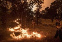 Los bomberos, queman vegetación para crear un cortafuego junto a una vivienda amenazada por las llamas en Bear Valley, en California