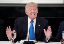Trump, en su primer semestre de gobierno establece una plotica migratoria que causa terror entre millones de indocumentados.