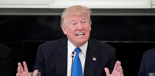 Trump, en su primer semestre de gobierno establece una plotica migratoria que causa terror entre millones de indocumentados.
