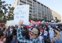 Trump obligó al cierre inmediato del Proyecto California México de la Universidad Cal State Long Beach