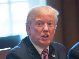 Donald Trump y el liderazgo demócrata, un matrimonio de conveniencia Donald Trump y el liderazgo demócrata del Congreso se unieron esta semana en un matrimonio de conveniencia