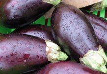 EEUU levanta restricción que tenía desde hace 25 años a vegetales dominicanos