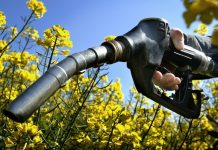 Anulan el mandato del biocombustible de la EPA